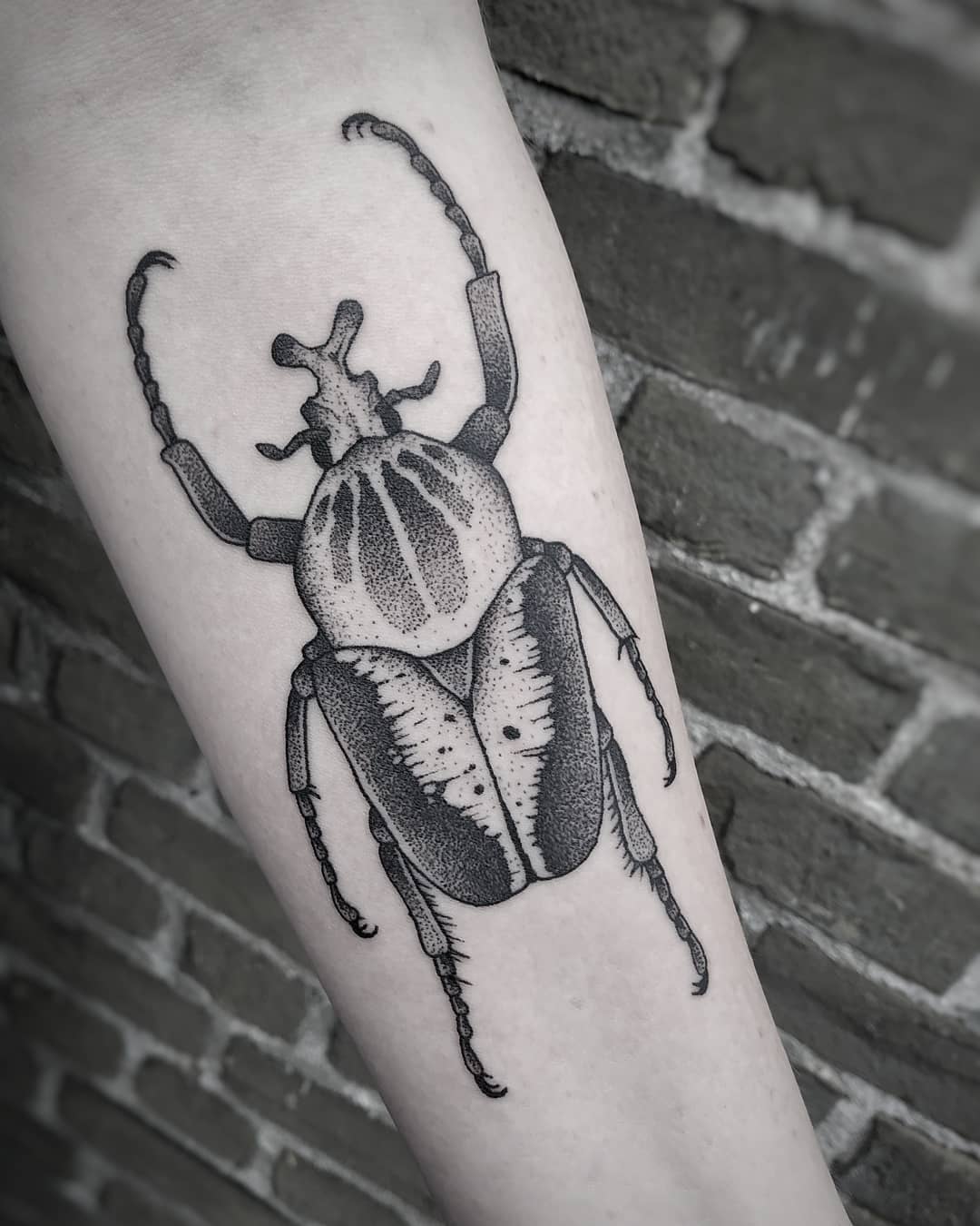 Dotwork kever tattoo